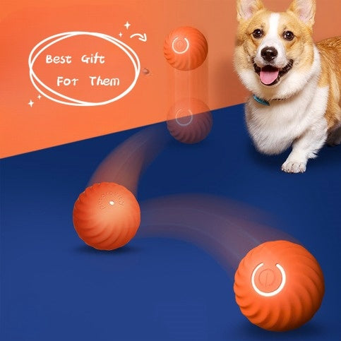 SEEWOOW™ 🐾 Fun for All Pets: The Ultimate Puppy Playmate Ball!